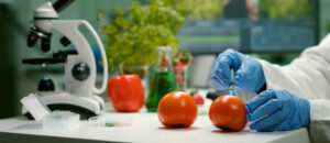 Sicurezza alimentare – HACCP